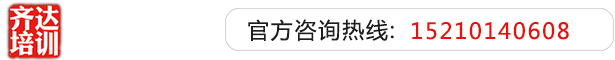 日比喷水视频齐达艺考文化课-艺术生文化课,艺术类文化课,艺考生文化课logo